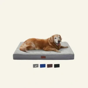 Ophanie 35in Gray Orthopedic Dog Bed for Large and Medium Dogs with Egg Crate Foam Support and Non-Slip Bottom, Waterproof and Machine Washable Removable Pet Bed Cover, Size(35"x22"x3.5")