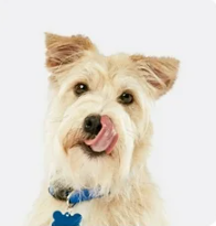 Screenshot 2025 07 03 212754