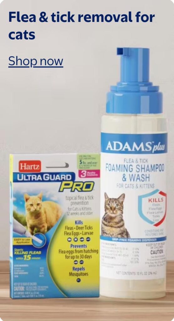 WhatsApp Image 2025 07 06 at 01.04.46 cb4c5de8